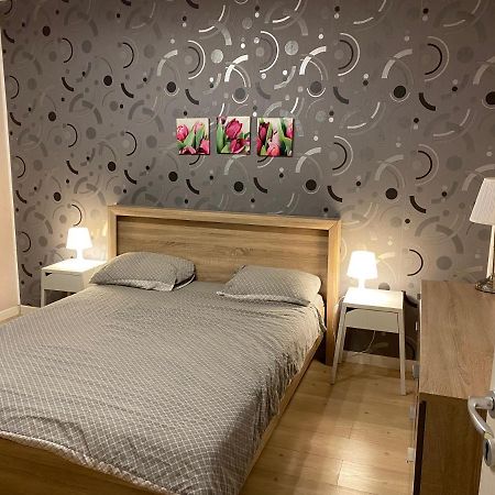 Igi Red Flat With Free Private Parking Lägenhet Cluj-Napoca Exteriör bild